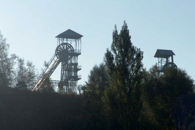 Bois du Cazier Vestigedansle paysage EE