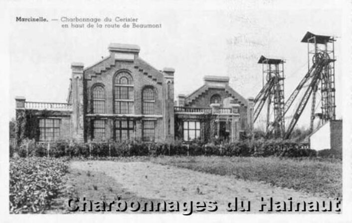 Cerisier CP Charbonnage Hainaut