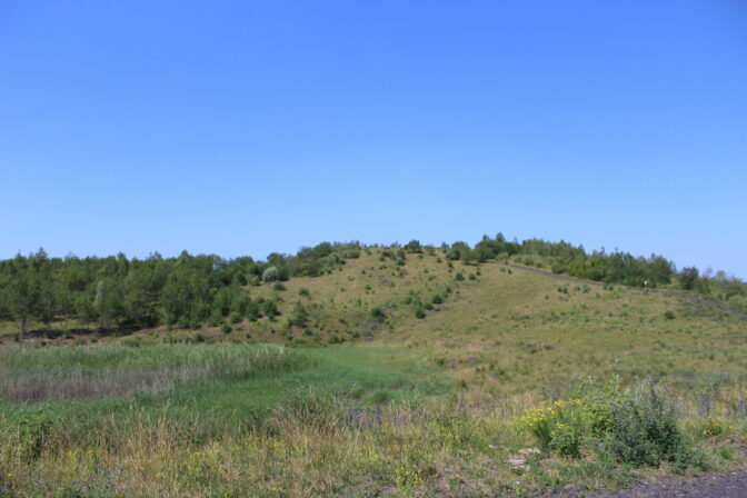 Plateau du Bayemont juin 2020 MB