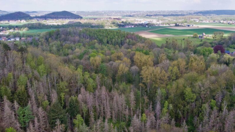 Courte Garenne aérienne better color DJI 0017 min