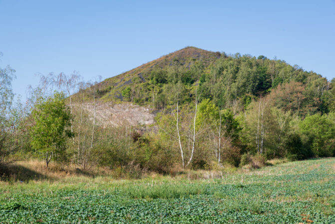 Terril du Boubier schiste et laitier CD