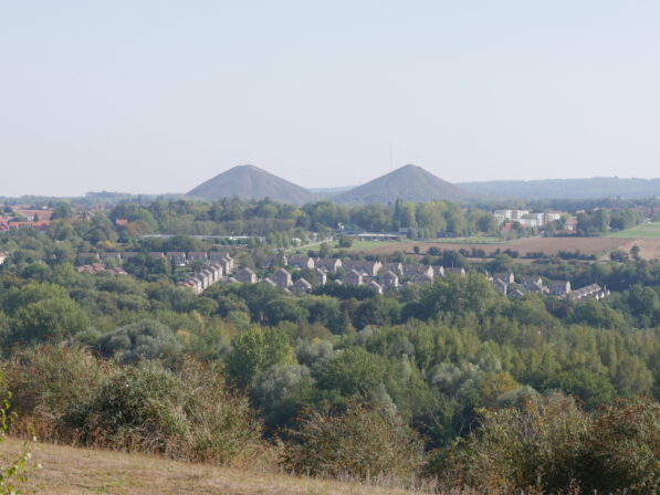 Jumeaux loos en gohelle