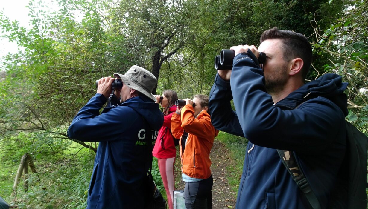 8 Marais Harchies 240924 32