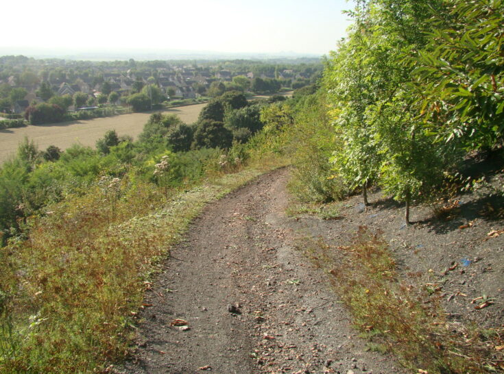 DSC02972