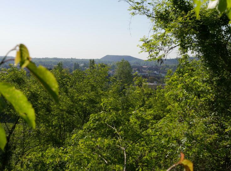 P1000704