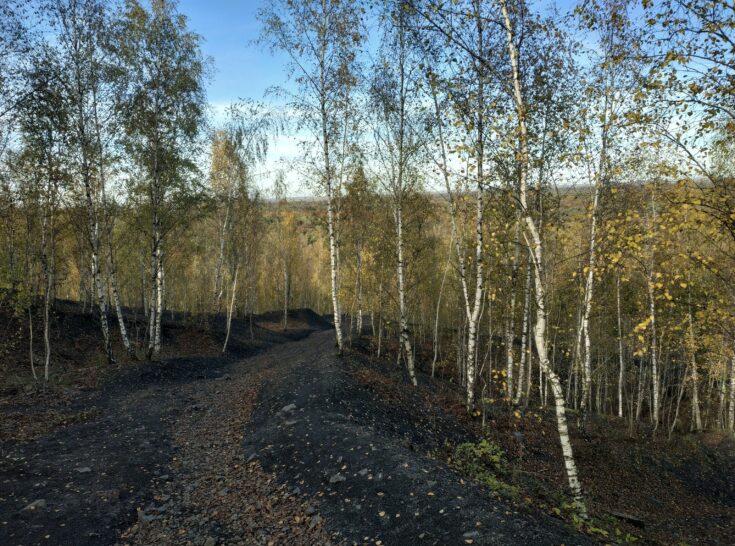 IMG 20181106 131808