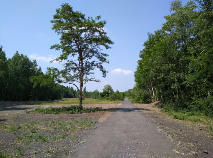 IMG 20230608 154658547