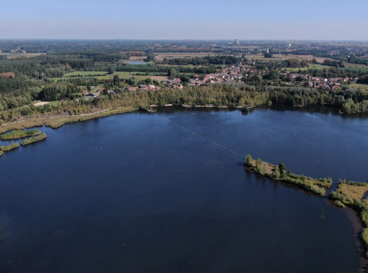 DJI 0290