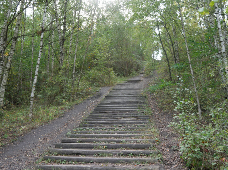P1010341 75
